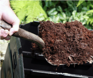Use compost as lawn fertilizer 